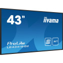 iiyama 43 1920x1080, IPS panel, 1% Référence: W128844329