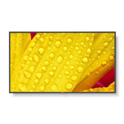Sharp/NEC M431-2, 43 M-Series, LFD, Référence: W128934443