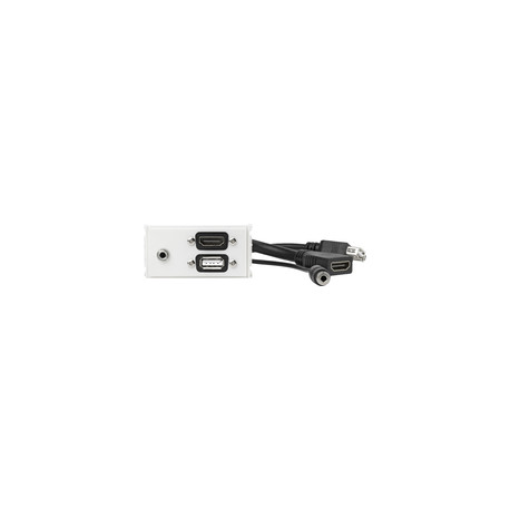 Vivolink Outlet Panel HDMI, USB, AUD Reference: WI221281
