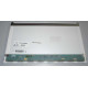 CoreParts 15,6 LCD FHD Glossy Reference: MSC156F40-093G