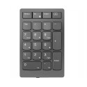 Lenovo Numeric Keypad Universal Rf Référence: W128269913
