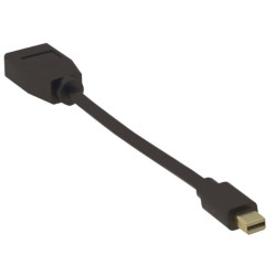 MicroConnect 4K Mini Displayport - DP M-F Reference: W126001716
