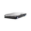 Hewlett Packard Enterprise SATA/160GB 7200RPM Reference: 349238-B21