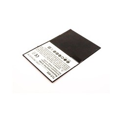 MicroSpareparts Mobile iPad Air Battery Ref: MSPP2698