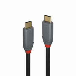 Lindy Lindy 2m USB 3.2 Type C Référence: W128919708