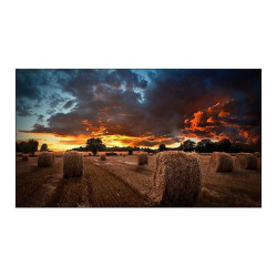 Samsung LH46VMBUBGBXEN video wall Reference: W126835375
