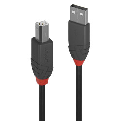 Lindy 0.2M Usb 2.0 Type A To B Reference: W128370430