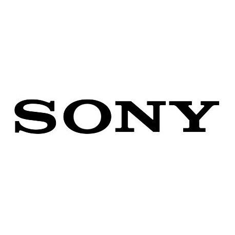 Sony Charging Case - Black (AEP,UK) Référence: W127053142
