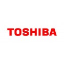 Toshiba Power Brick 60W pour HSP100 Reference: W128890744