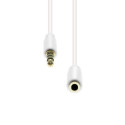 ProXtend 4-Pin Slim Extension Cable Reference: W128365941