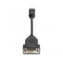 HP DisplayPort To DVI-D Adapter Reference: FH973AA