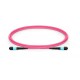 Lanview Fiber Patch Cable - 12 cores Référence: W126918125