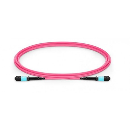 Lanview Fiber Patch Cable - 12 cores Référence: W126918125