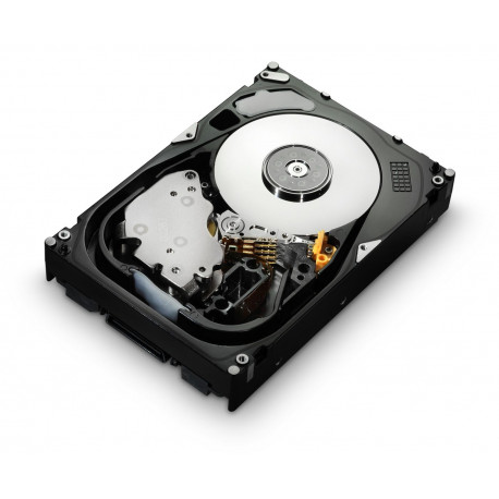 HGST 300GB SAS 15000RPM 16MB Reference: HUS156030VLS600-RFB