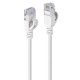 Lindy networking cable Grey 0.3 m Reference: W128812589