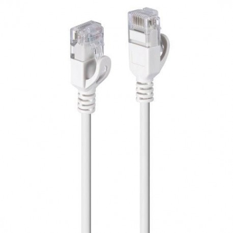 Lindy networking cable Grey 0.3 m Reference: W128812589