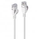 Lindy networking cable Grey 0.3 m Reference: W128812589