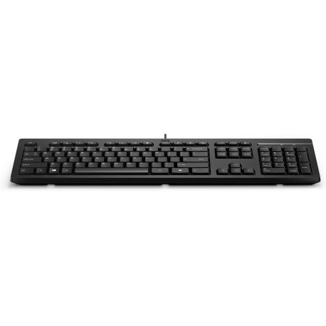 HP HP 125 Wired Keyboard Itallian Reference: W127079035