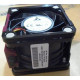 Hewlett Packard Enterprise DL380e Gen8 Hot-plug fan Reference: RP000131199 