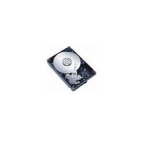 CoreParts 2.5 SAS Hotswap 1TB 7200RPM Reference: SA1T2I838S 
