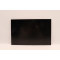 Lenovo DISPLAY Coretronic 14 WUXGA AG Reference: W127149498