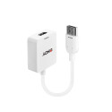 Lindy Converter Hdmi To Displayport Reference: W128371094