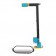 CoreParts Home Button with Flex Cable Référence: MSPP70846