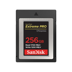 Sandisk Memory Card 256 Gb Cfexpress Référence: W128291197