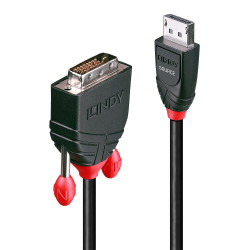 Lindy 1M Displayport To Dvi Cable Reference: W128370645