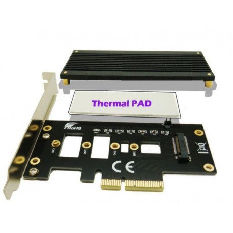 CoreParts M.2/NVME (NGFF) SSD to PCIe Référence: MSPCIEM2