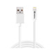 Sandberg USB~Lightning 1m Reference: 440-75