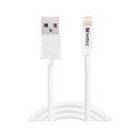 Sandberg USB~Lightning 1m Reference: 440-75