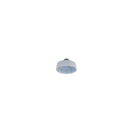 Ernitec Pendant Cap for Wolf Base Reference: W128359506