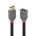 Lindy 2m DisplayPort 1.4 Extension Reference: W128456766