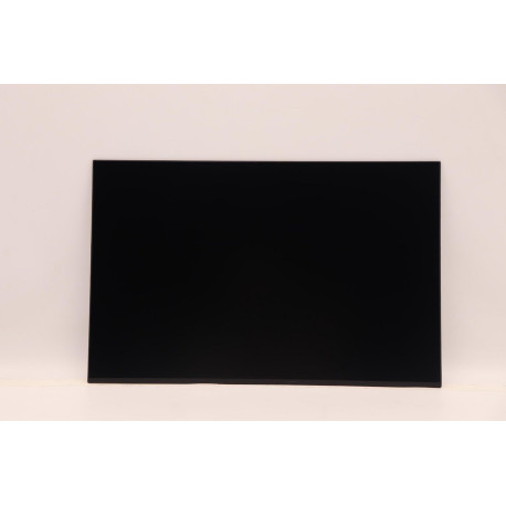 Lenovo DISPLAY FRU CSO MNG007JA1-4 Reference: W126880944