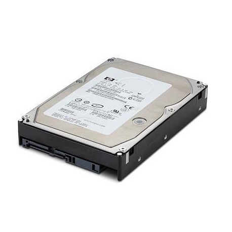 Hewlett Packard Enterprise DRV HD 300GB 2.5 10K 6G SAS Reference: W128830220