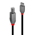 Lindy 2M Usb 2.0 Type C To B Cable, Reference: W128370483