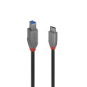 Lindy 2m USB 3.2 Type C to B Cable, Reference: W128456783