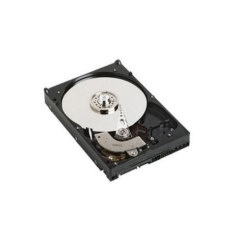 Dell 1TB 7.2K 6G 3.5INCH SATA HDD Reference: W127122092 