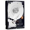 Dell HD 3T NL6 7.2K 3.5 H-MKP E/C Reference: MY58D