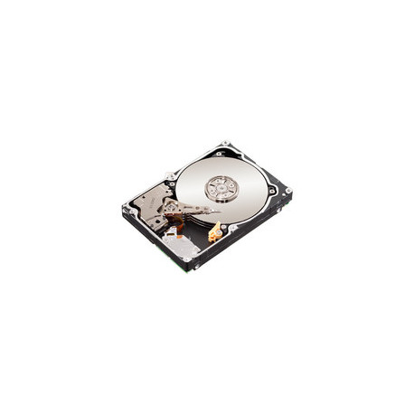 Seagate 2TB 64MB 7200RPM SAS 6Gb/s Reference: ST2000NM0001-RFB