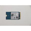 Lenovo 256GB M.2 PCIe NVMe Référence: 01FR578