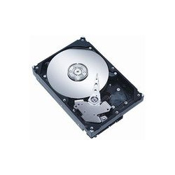 MicroStorage 250GB 3,5 SATA II 7200RPM Reference: AHDD012