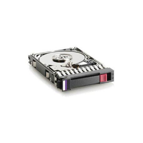 Hewlett Packard Enterprise 300GB 3G SAS 15K 3.5 DP Reference: RP000108787 