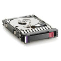 Hewlett Packard Enterprise 300GB 3G SAS 15K 3.5 DP Reference: RP000108787 [Reconditionné par le constructeur]