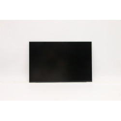 Lenovo FRU of SD11A22490 BOE 13.0 Reference: W126195738